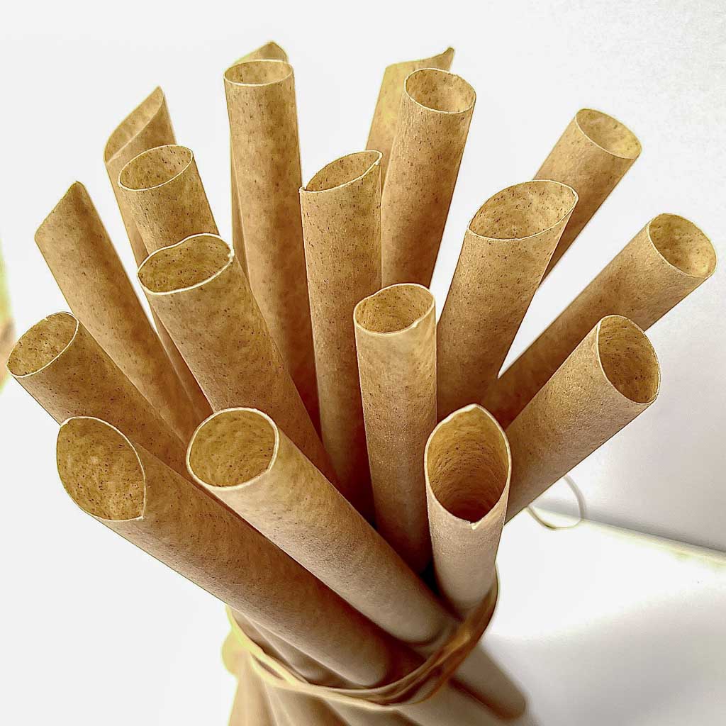 Paper Jumbo (Boba/Smoothie/Milkshake) straws - Natural - 100% biodegradable