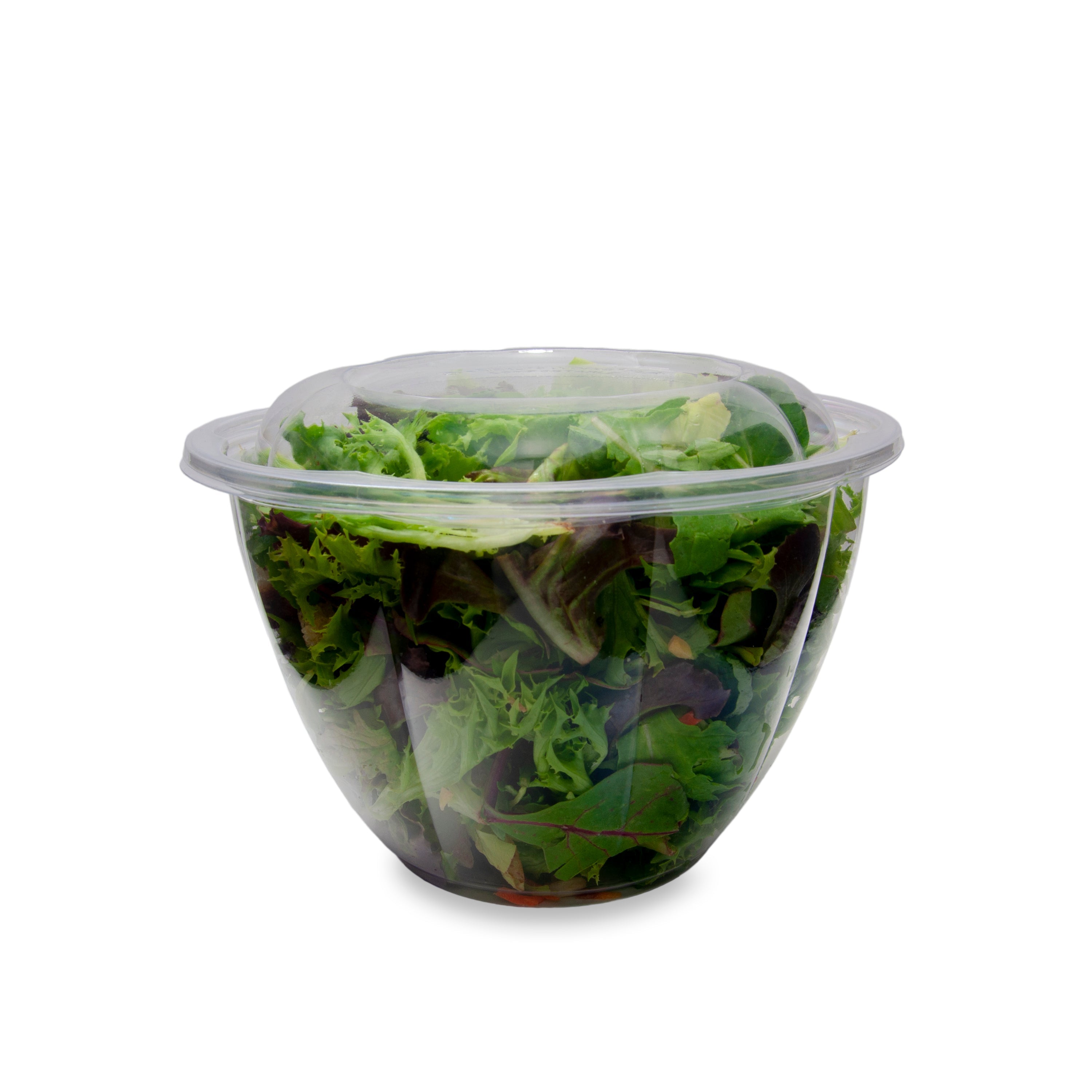 Eco-Products Compostable Salad Bowl with Lid Case