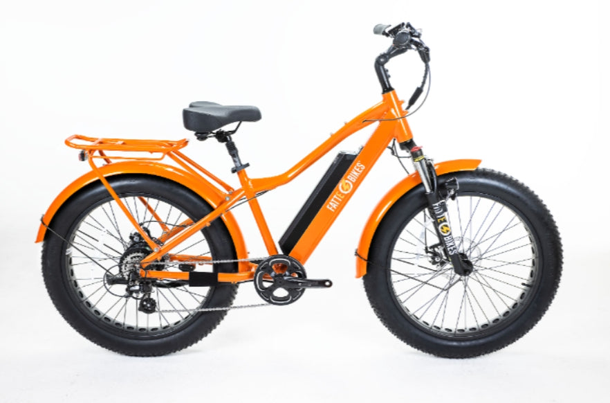 
                  
                    Sgt. Mingo Mountain E-Bike by FattE-Bikes
                  
                