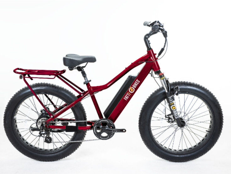 
                  
                    Sgt. Mingo Mountain E-Bike by FattE-Bikes
                  
                