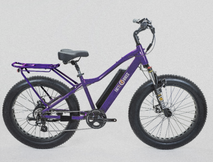 
                  
                    Sgt. Mingo Mountain E-Bike by FattE-Bikes
                  
                