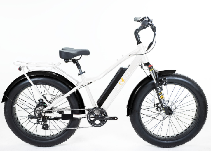 
                  
                    Sgt. Mingo Mountain E-Bike by FattE-Bikes
                  
                