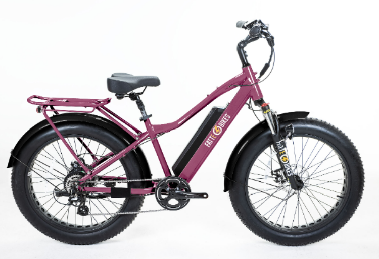 
                  
                    Sgt. Mingo Mountain E-Bike by FattE-Bikes
                  
                