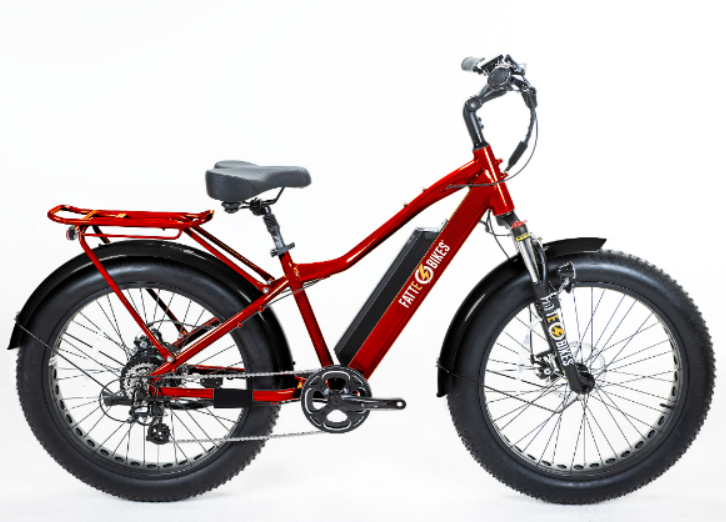 
                  
                    Sgt. Mingo Mountain E-Bike by FattE-Bikes
                  
                