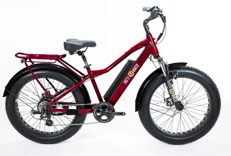 
                  
                    Sgt. Mingo Mountain E-Bike by FattE-Bikes
                  
                