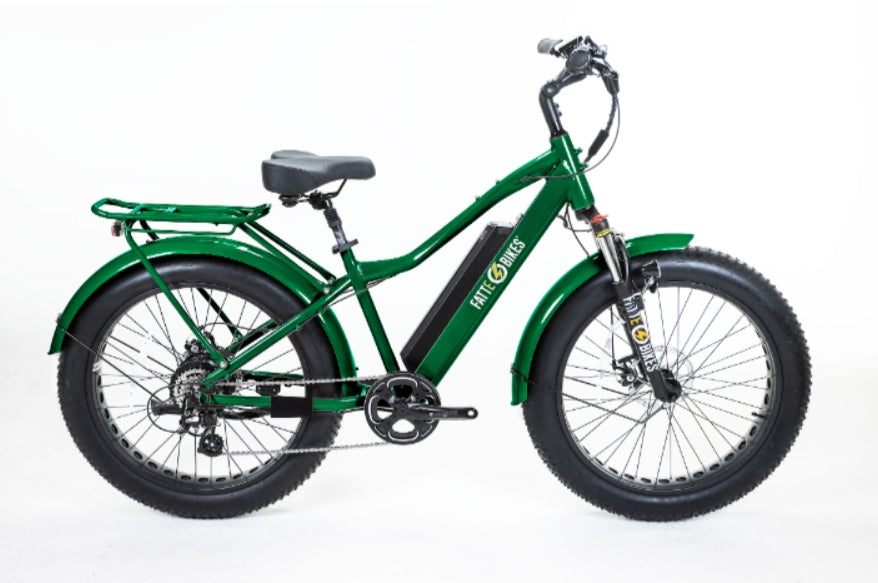 
                  
                    Sgt. Mingo Mountain E-Bike by FattE-Bikes
                  
                