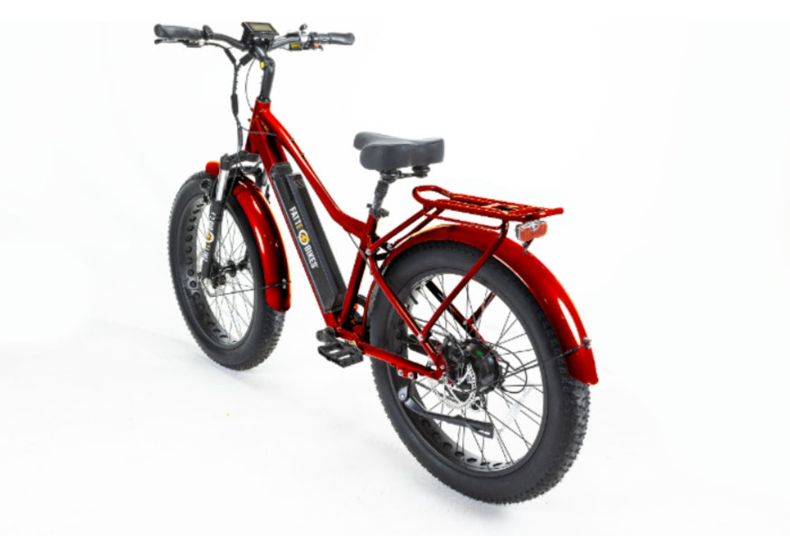 
                  
                    Sgt. Mingo Mountain E-Bike by FattE-Bikes
                  
                