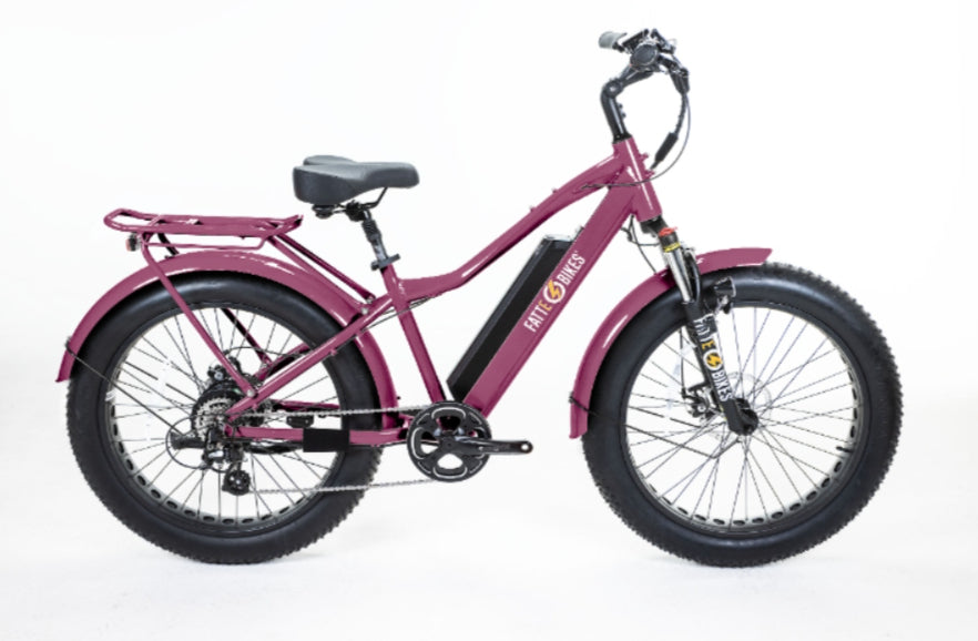 
                  
                    Sgt. Mingo Mountain E-Bike by FattE-Bikes
                  
                